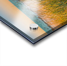 Sunrise Seagrass Acrylic print