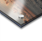 Sun Ray Acrylic print