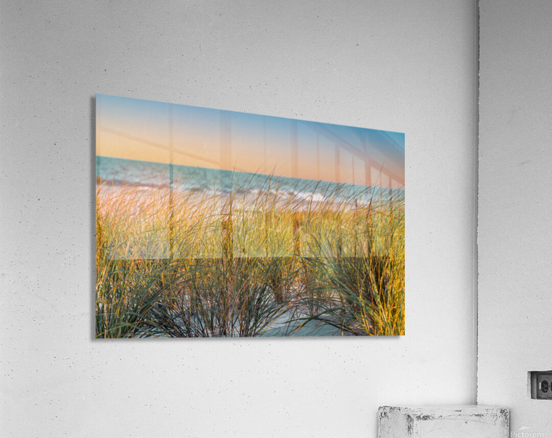 Sunrise Seagrass Acrylic Print