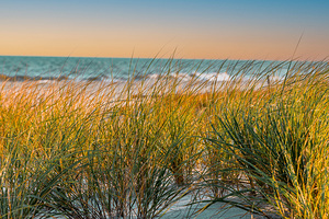 Sunrise Seagrass by Ron Taibbi fine art Photography 