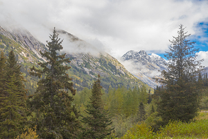 Through the Trees by Ron Taibbi fine art Photography 