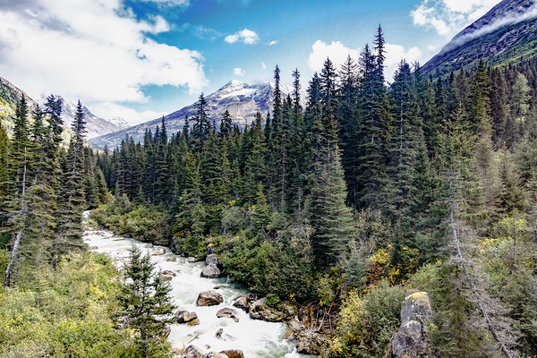 Skagway Rivers Print
