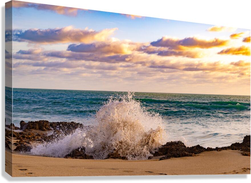 Morning Glow Canvas Print