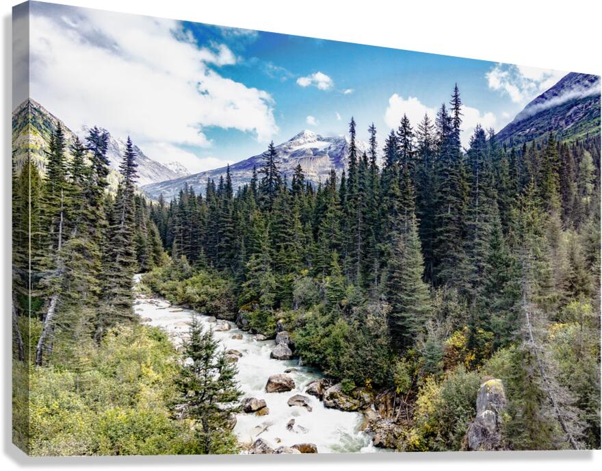 Skagway Rivers Canvas Print