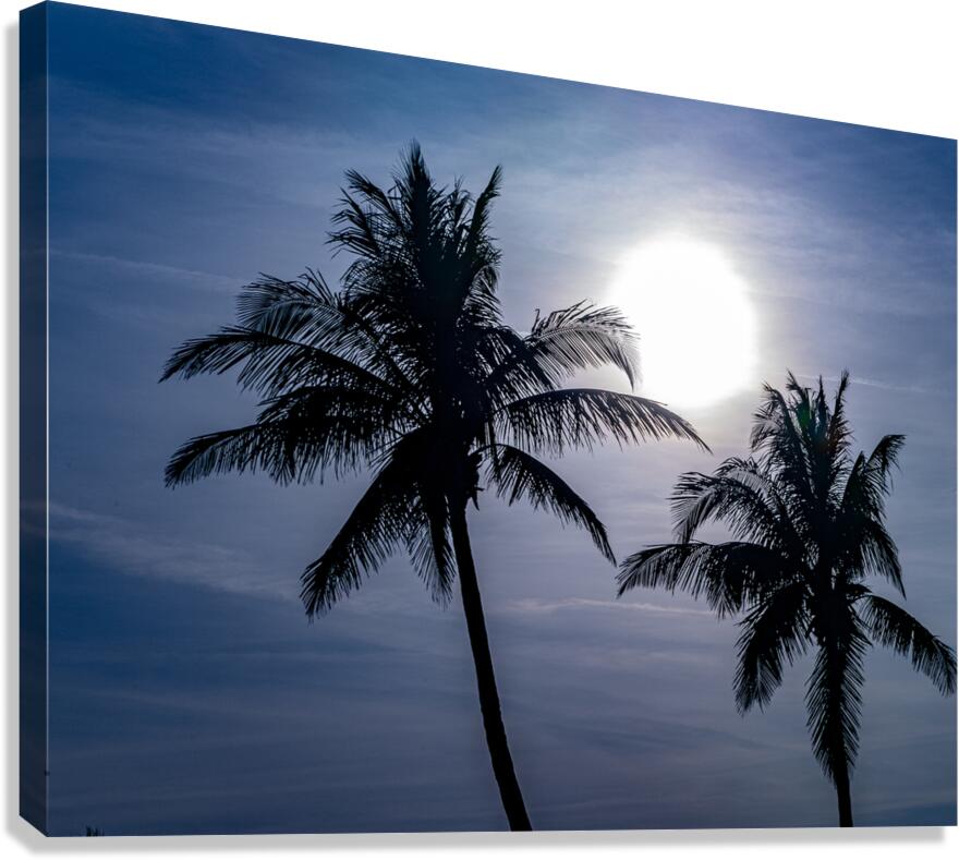 Sillouette Palms Canvas Print
