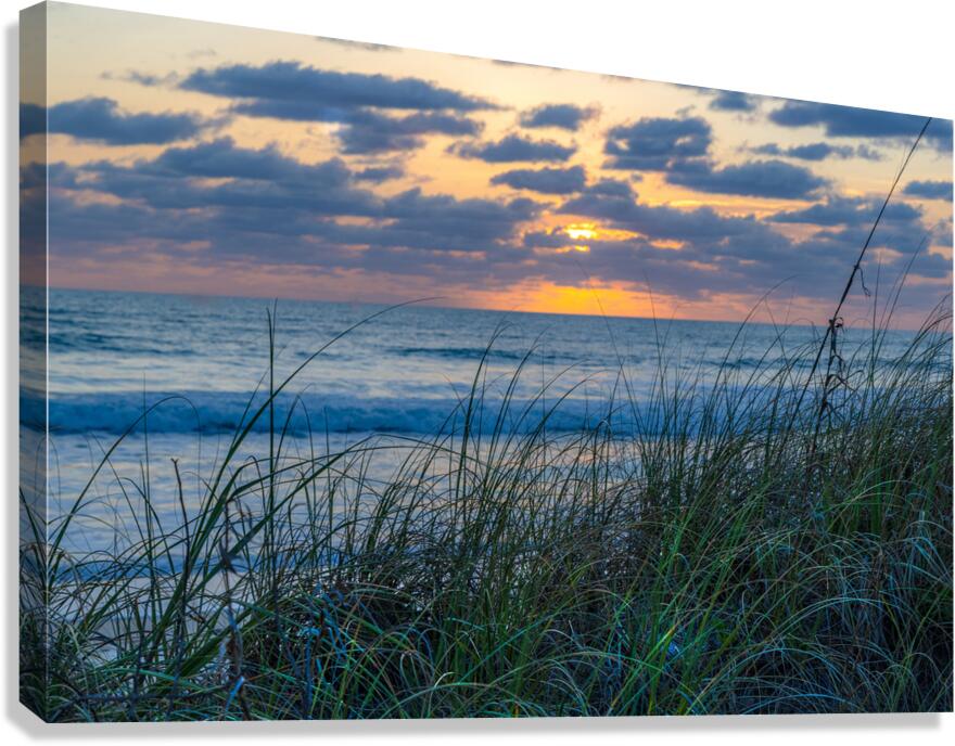 Grassy Sunrise Canvas Print