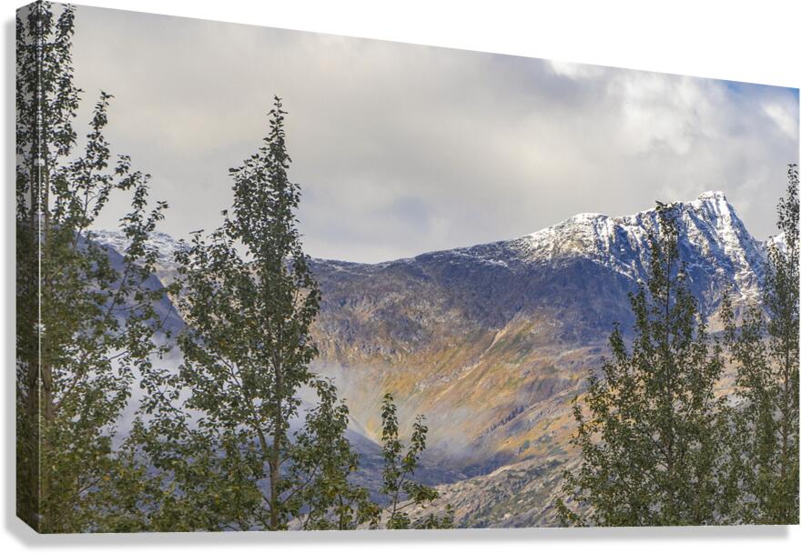 Distant Mountains  Canvas Print