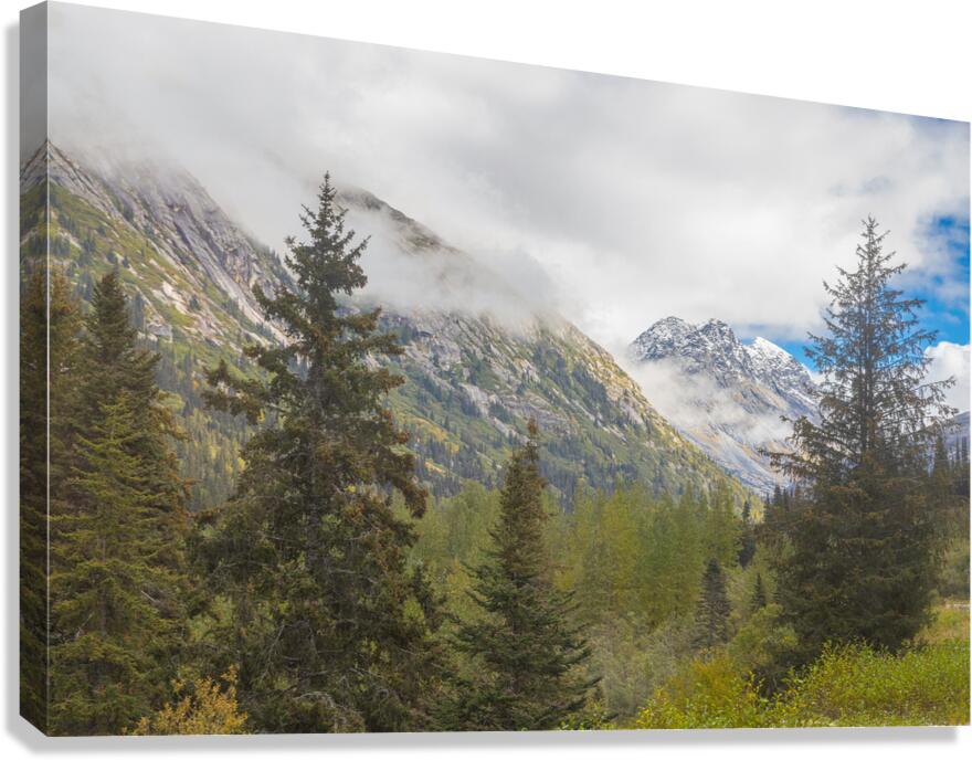 Through the Trees Canvas Print