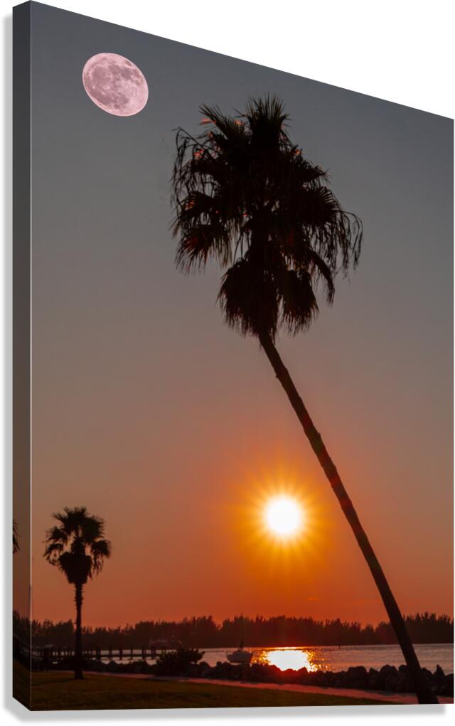 Moon rise  Canvas Print