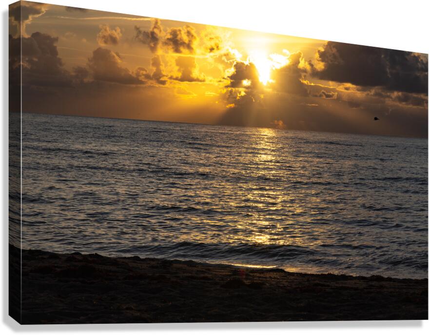 Golden Glow Canvas Print