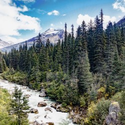 Skagway Rivers