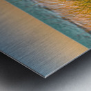 Sunrise Seagrass Metal print