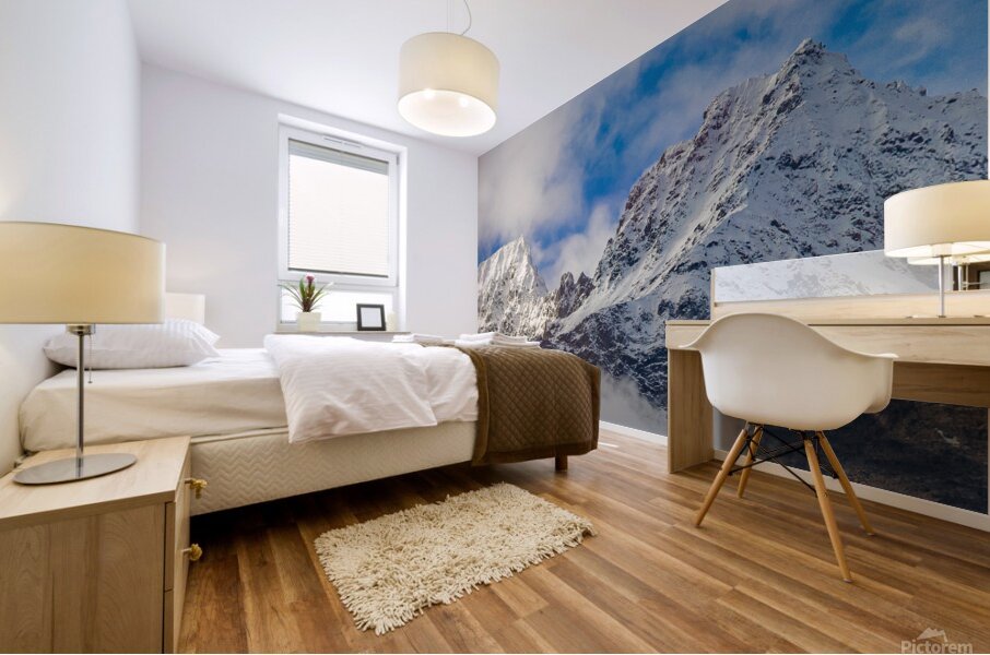 Snow caps Mural print