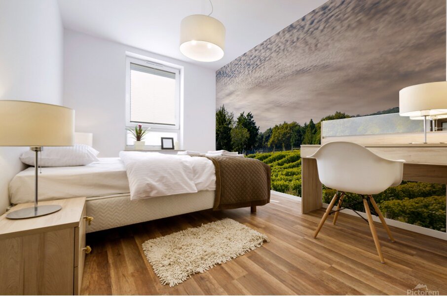 Grapevines Mural print