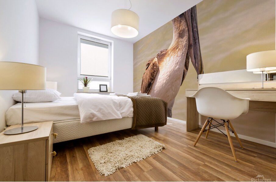 Pelican Day Mural print