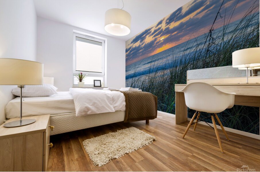 Grassy Sunrise Mural print