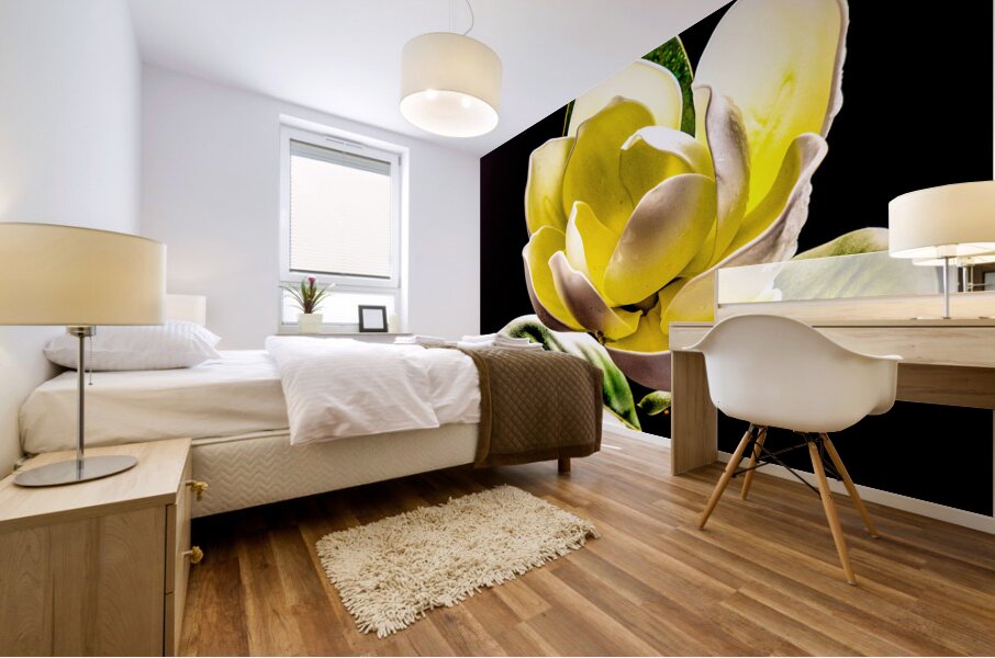 White Magnolia  Mural print