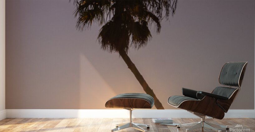 Sunset palms Wall Murals