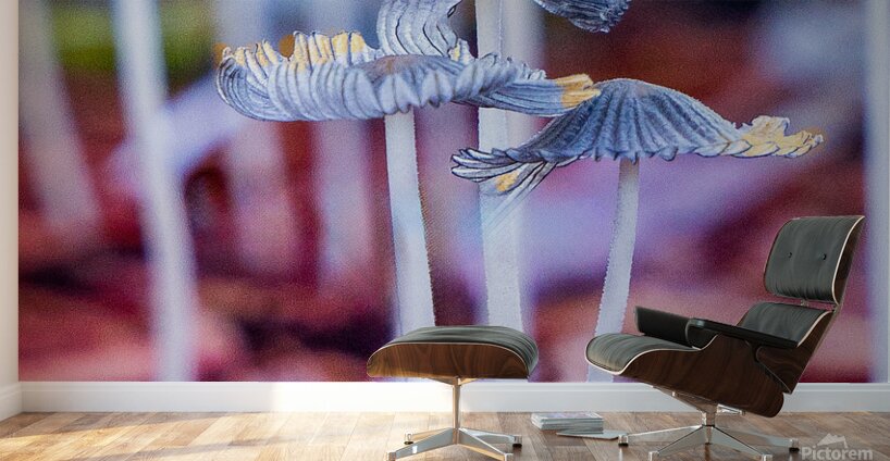 Mushroom tops Wall Murals