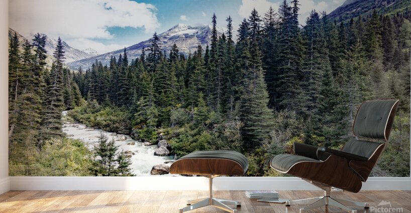 Skagway Rivers Wall Murals