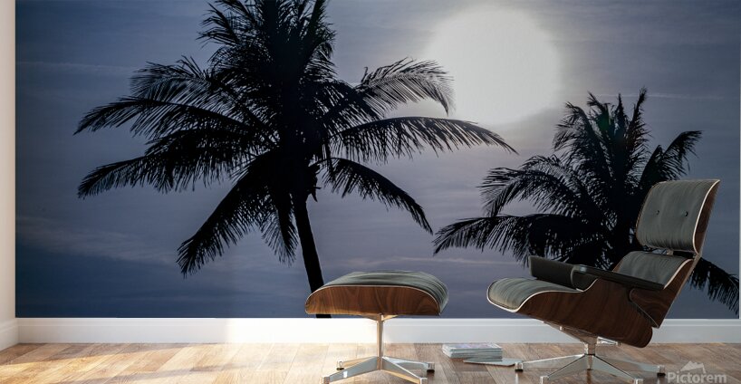 Sillouette Palms Wall Murals