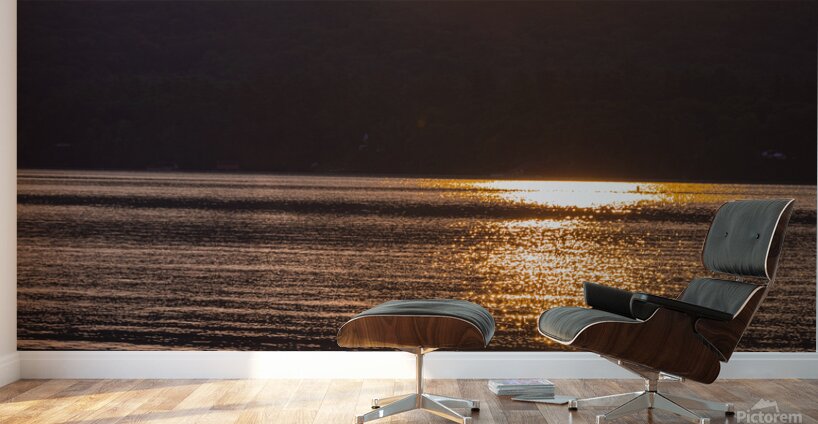 Early Morning Wall Murals