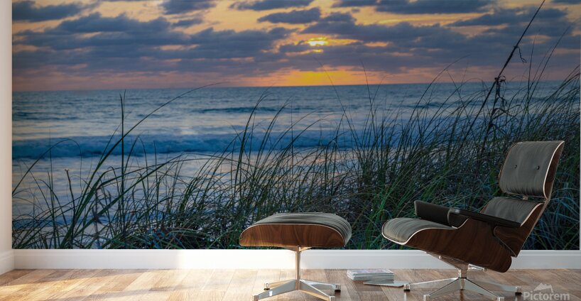 Grassy Sunrise Wall Murals