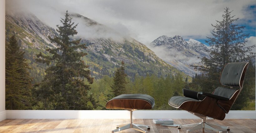 Through the Trees Wall Murals