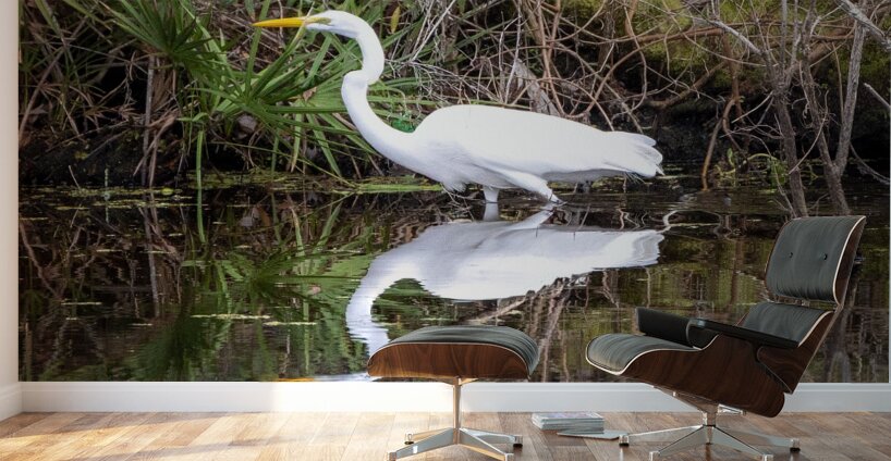 Great Egret  Wall Murals