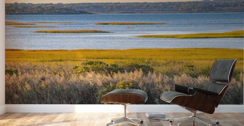 Calming bay Wall Murals