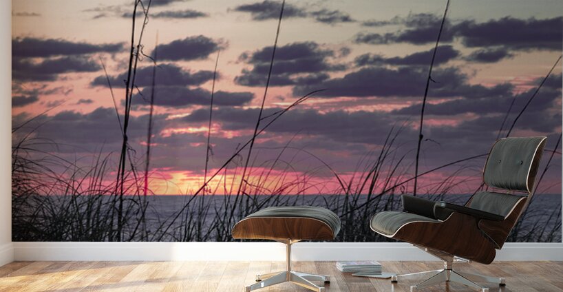 Morning Grass  Wall Murals