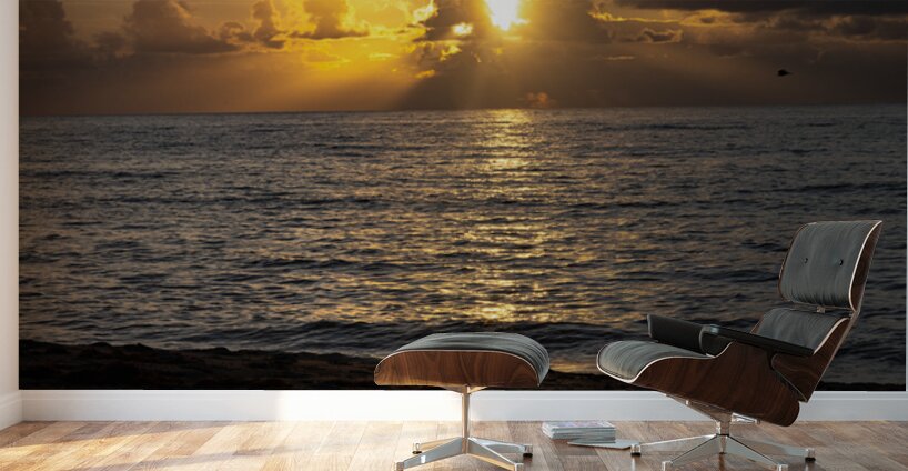 Golden Glow Wall Murals