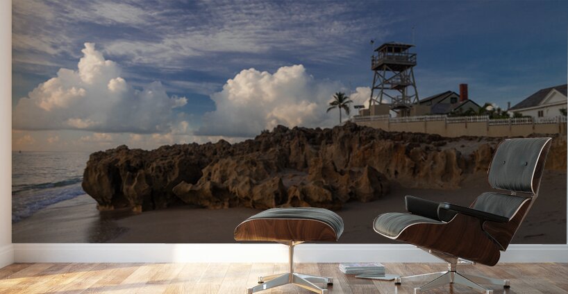 House of refuge  Wall Murals