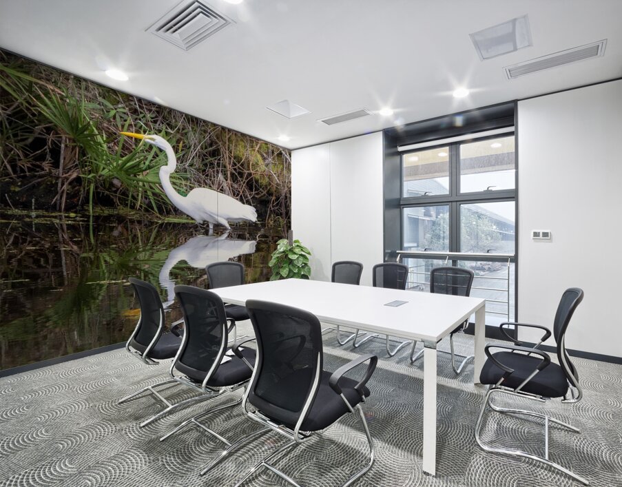 Great Egret  Wall Printing