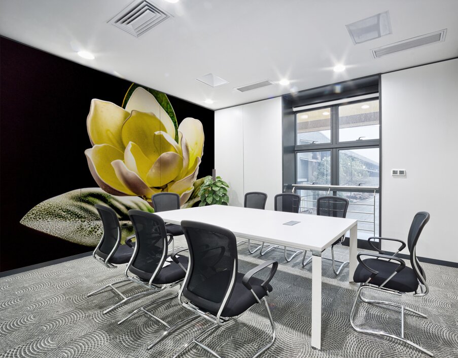 White Magnolia  Wall Printing