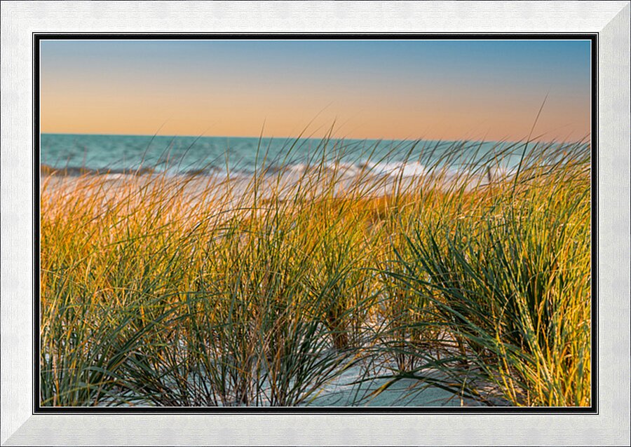 Sunrise Seagrass Picture Frame print