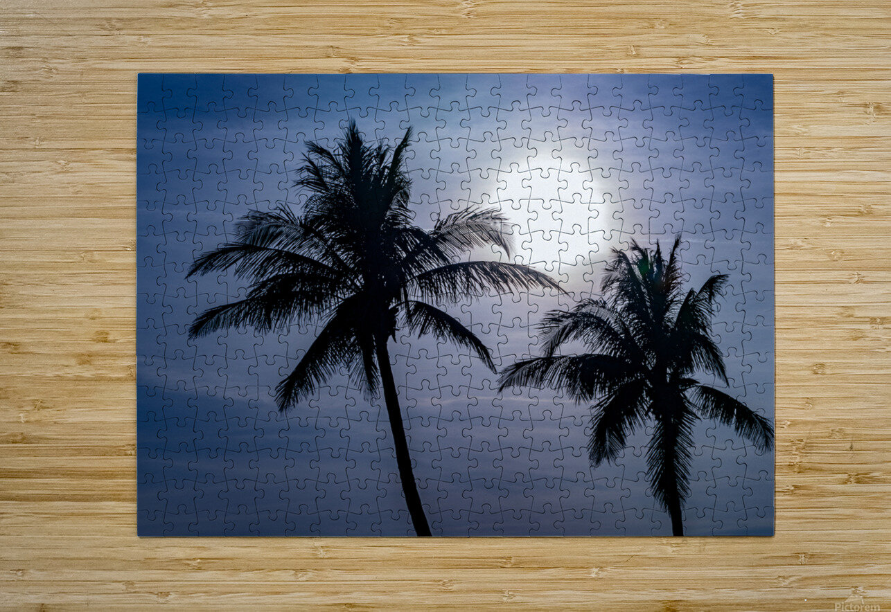 Sillouette Palms Ron Taibbi fine art Photography  Puzzle printing