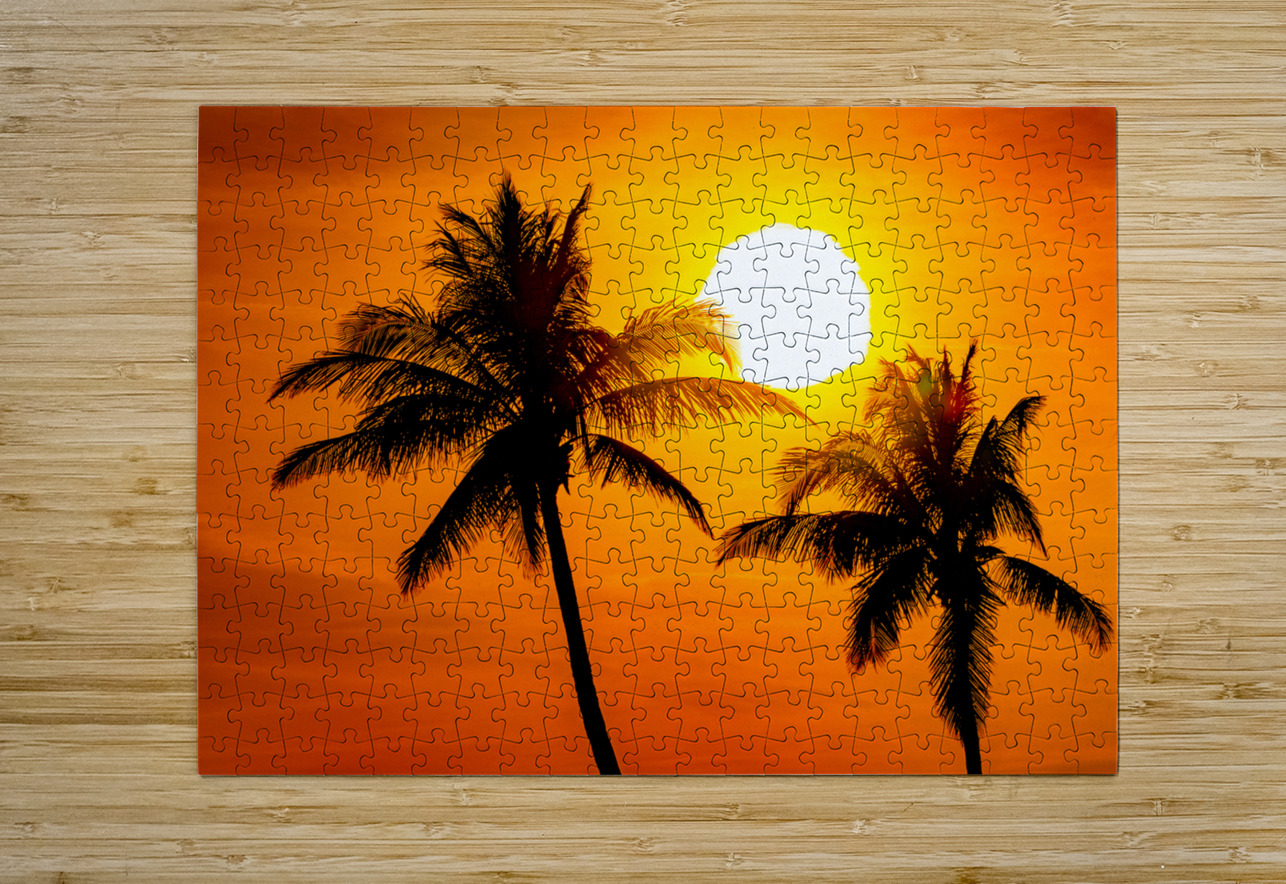 Red Palms Ron Taibbi fine art Photography  Puzzle printing