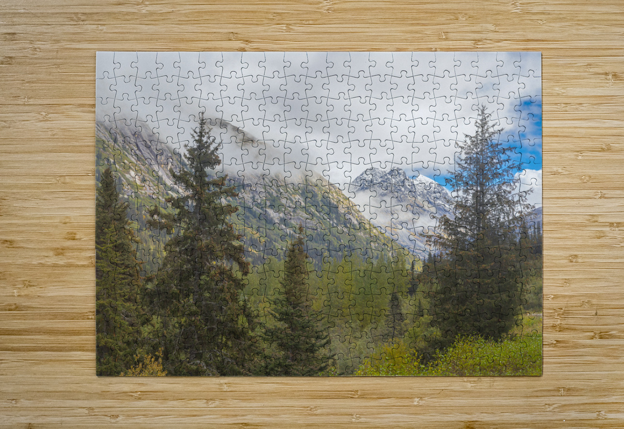 Through the Trees Ron Taibbi fine art Photography  Puzzle printing