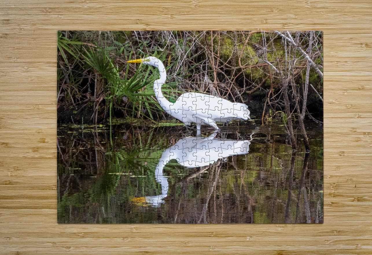 Great Egret  Ron Taibbi fine art Photography  Puzzle printing
