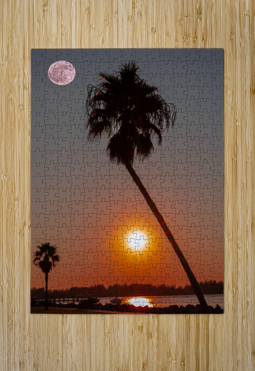 Moon rise  Ron Taibbi fine art Photography  Puzzle printing