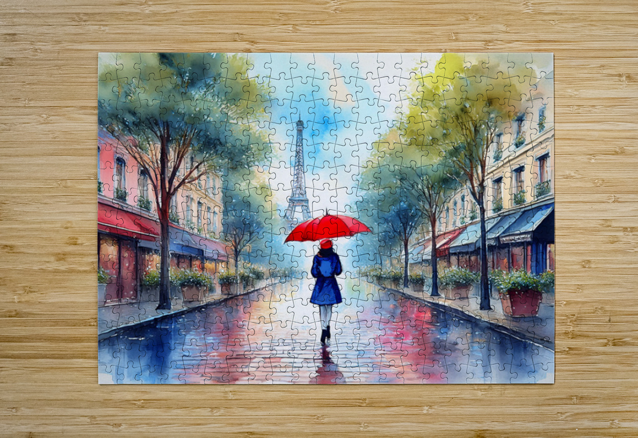 Paris  Reflections  Ron Taibbi fine art Photography  Puzzle printing