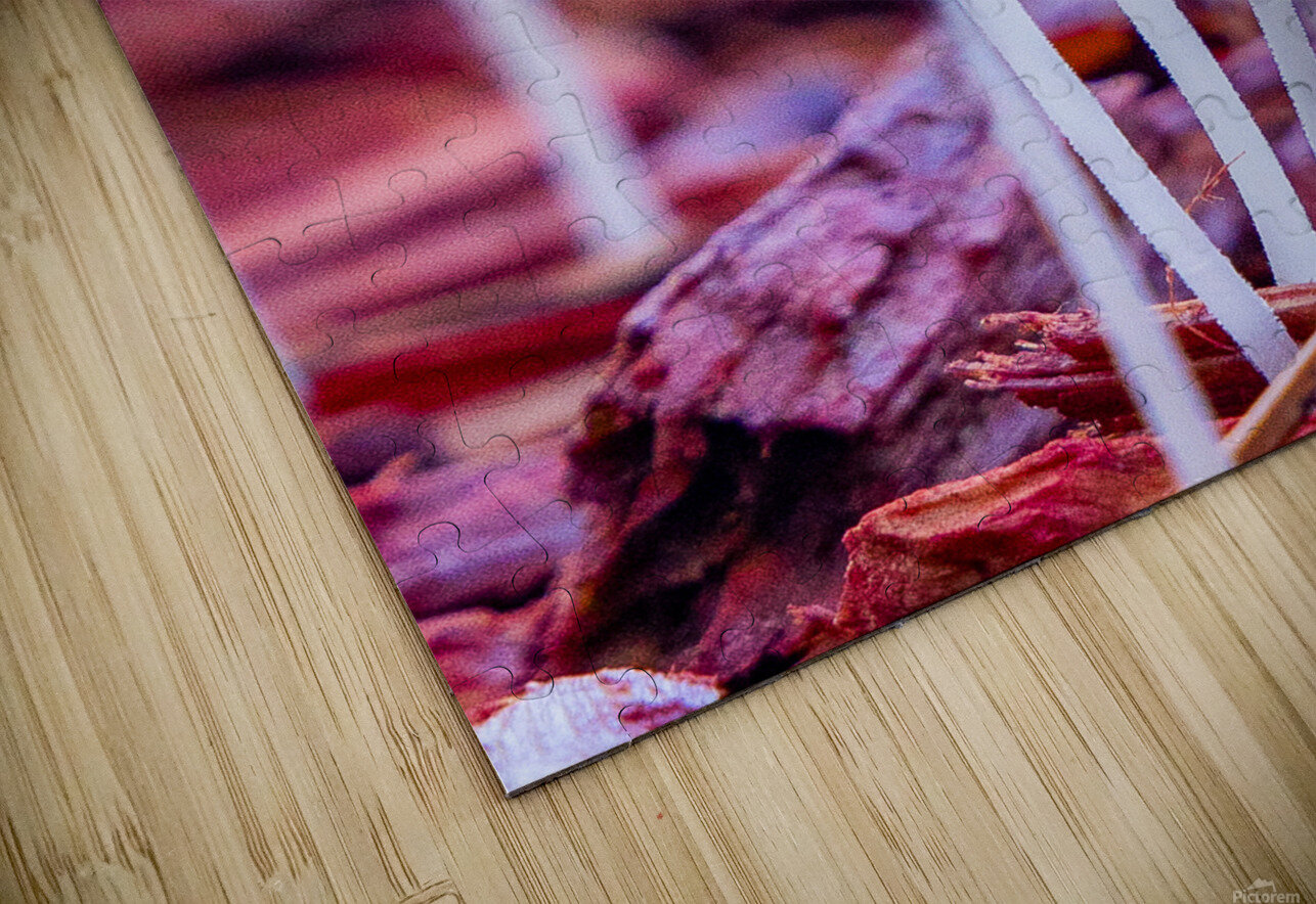 Mushroom tops Ron Taibbi fine art Photography  Puzzle