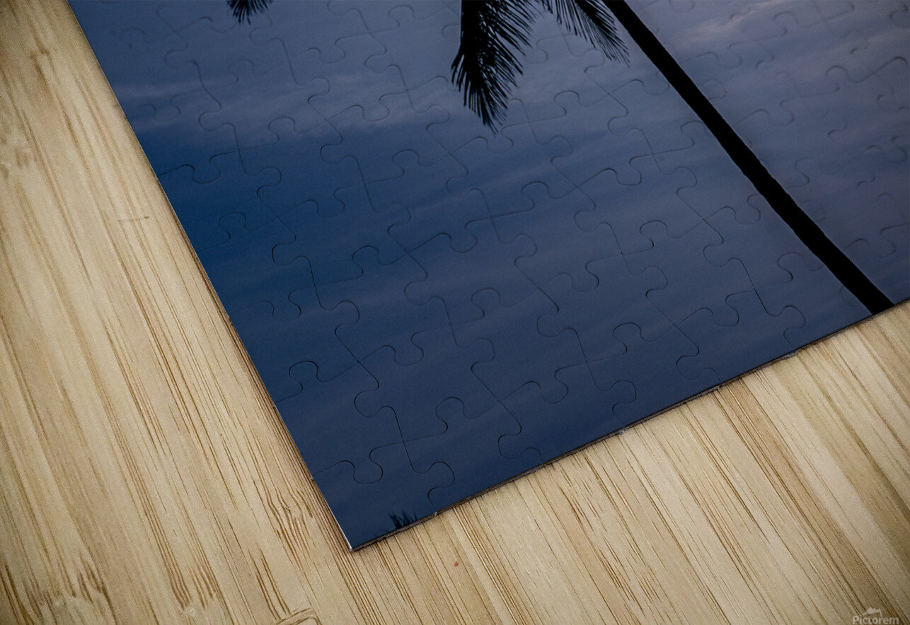 Sillouette Palms Ron Taibbi fine art Photography  Puzzle