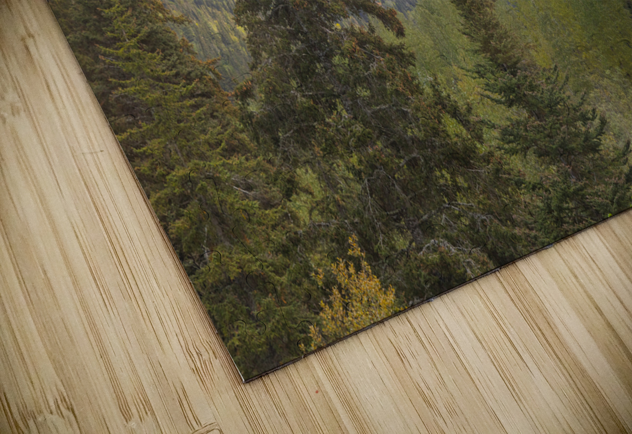 Through the Trees Ron Taibbi fine art Photography  Puzzle