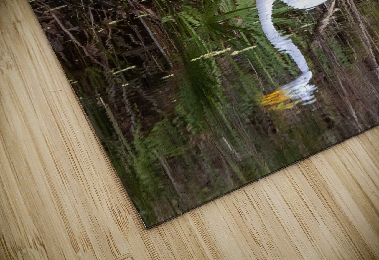 Great Egret  Ron Taibbi fine art Photography  Puzzle