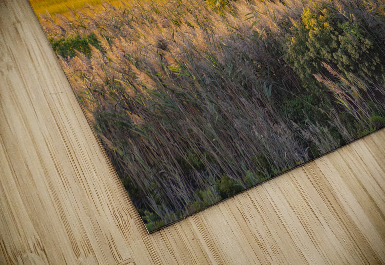 Calming bay Ron Taibbi fine art Photography  Puzzle