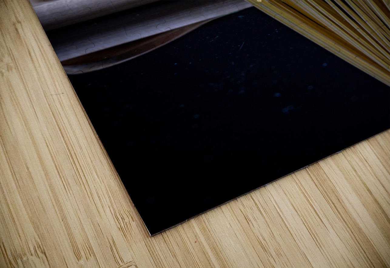 Pasta Twist  Ron Taibbi fine art Photography  Puzzle