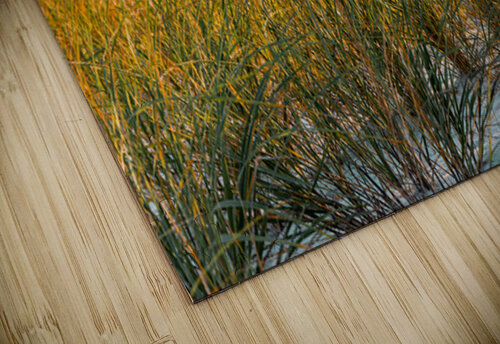 Sunrise Seagrass Ron Taibbi fine art Photography  puzzle