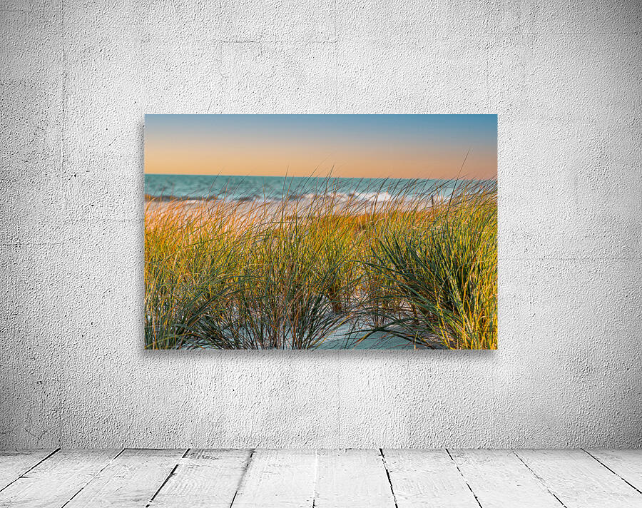 Sunrise Seagrass Wall Preview